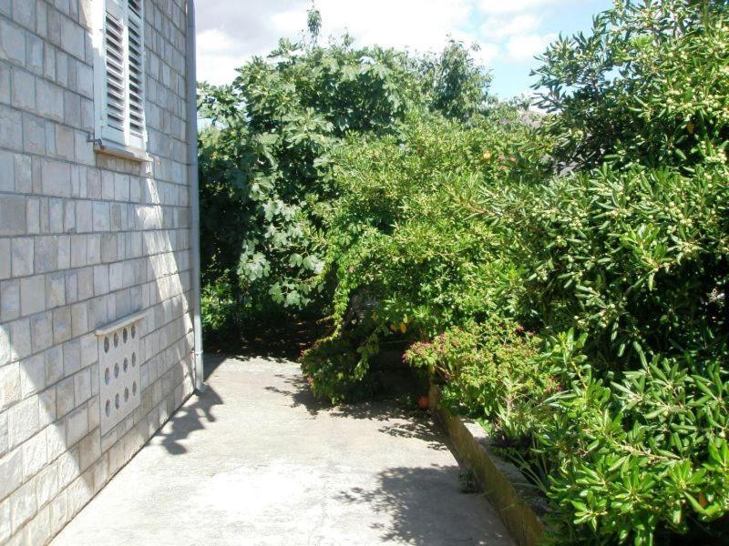 Apartment Pavo ดูบรอฟนิก ภายนอก รูปภาพ